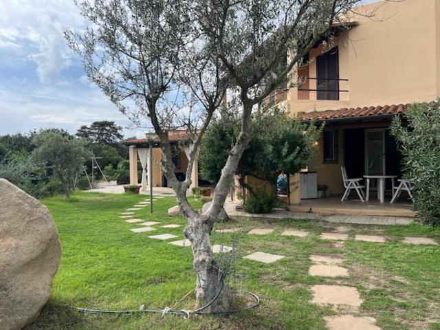Villa Le Palmette Monte Nai Exterior foto